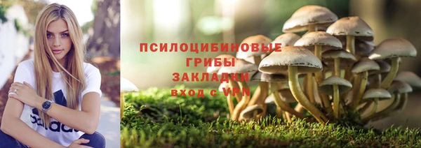 бутират Зеленодольск