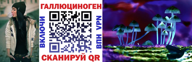 Галлюциногенные грибы GOLDEN TEACHER  Котельнич 